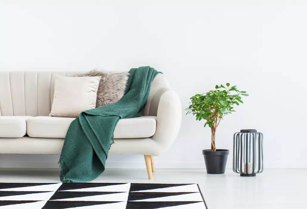 Leia mais sobre o artigo Como limpar sofá